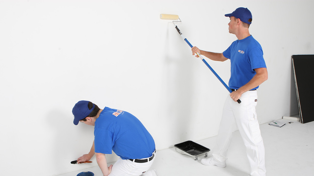 Aladağ Boya Badanacı